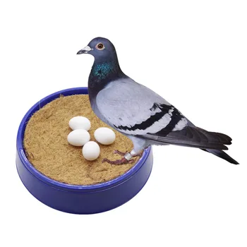 6 Шт. Пластиковые Принадлежности для кормления домашней птицы, имитирующие твердые Голубиные яйца, Принадлежности для голубей 2